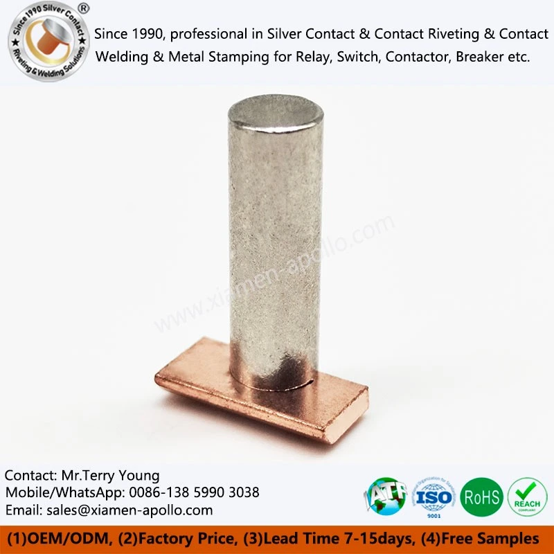 Pure Iron Core for AC Relay