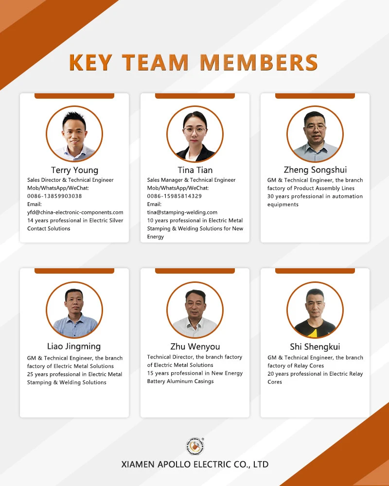 About the Team About the Team